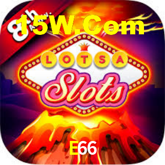 Premium Interface E66